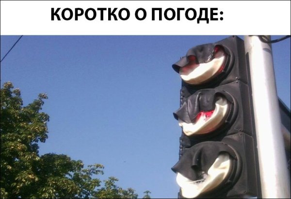 Шутки про жаркую погоду