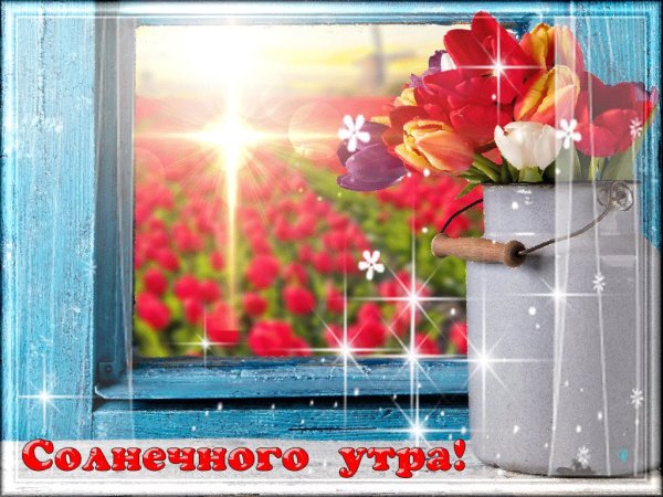 Открытки с добрым солнечным утром