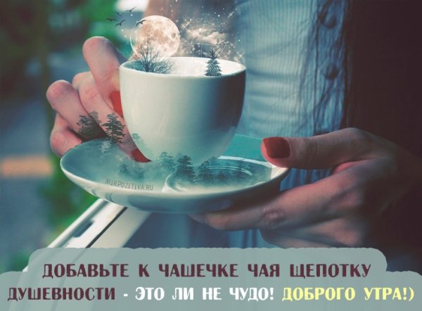 Мир в чашке чая