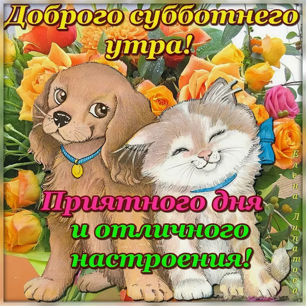 СС добр вы м субботним утром
