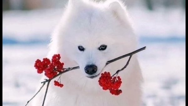 Пускай холод будет лишь погодой пускай его не будет на душе