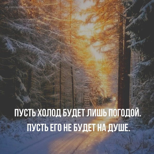 Цитаты душевные и теплые