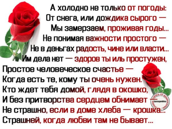 А холодно не только от погоды стихи