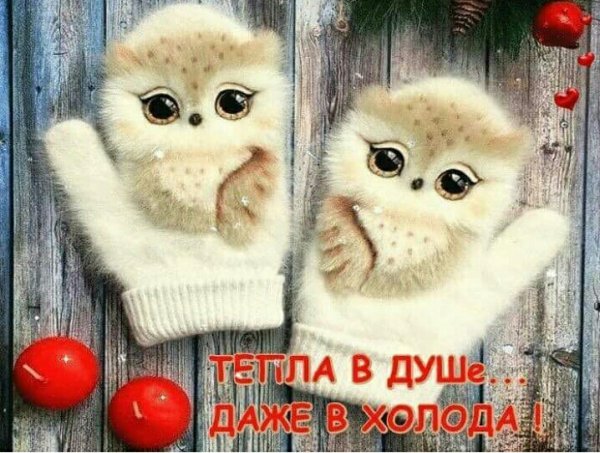 Открытки с добрым утром улыбнись