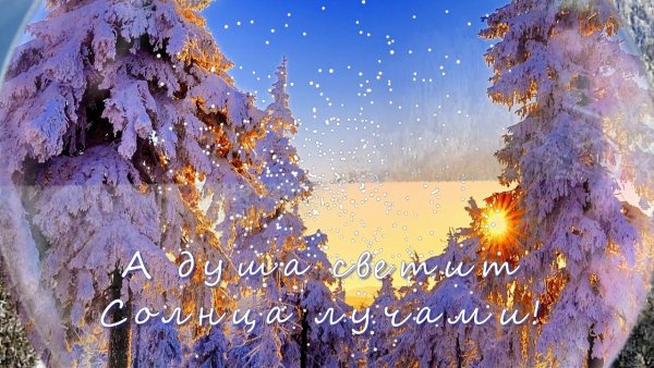 Тепла в морозный день