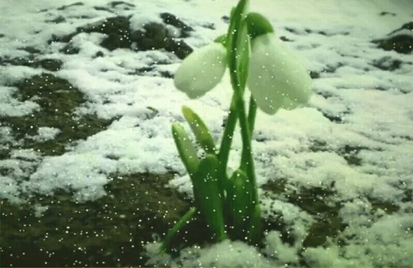 Цитаты про зиму и весну