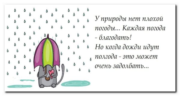 Шутки про дождь
