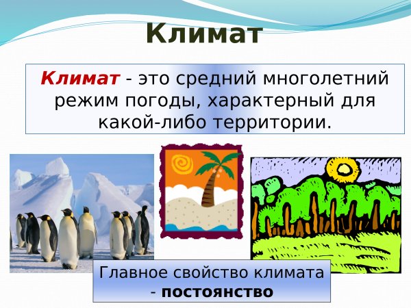 Климат 6 класс география