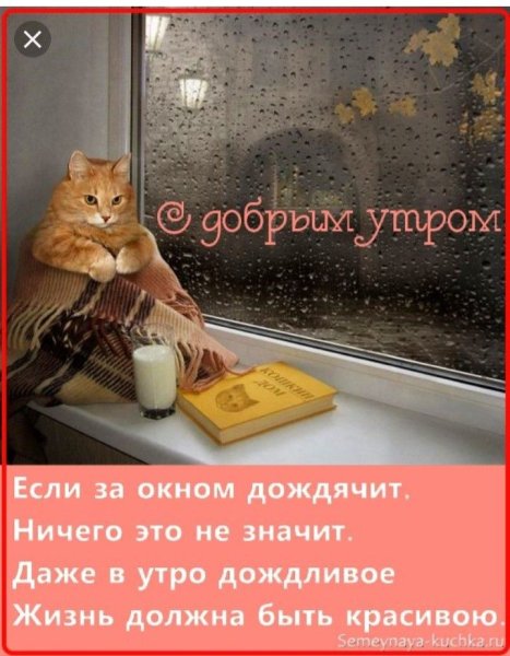 Доброе дождлтвого утро