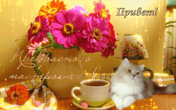 Чудесного дня и прекрасного настроения