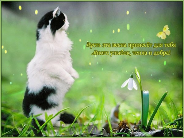 Весна добра