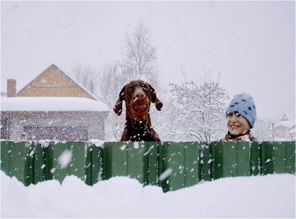 Позитива в любую погоду