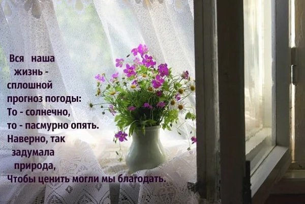 Хорошего дня несмотря на погоду за окном