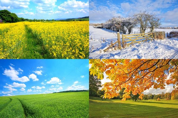 Фон четыре времени года