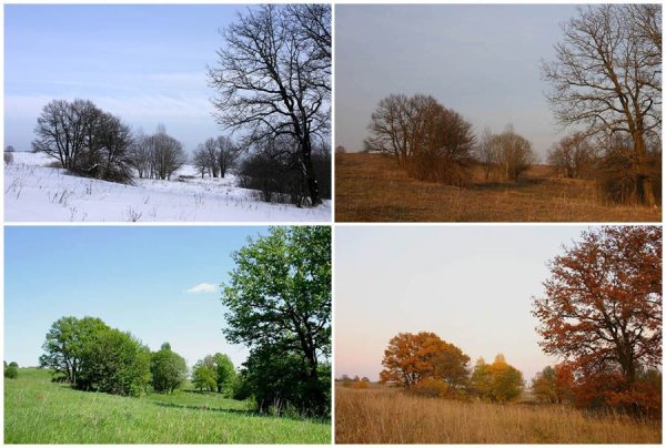 Пейзаж в Разное время года
