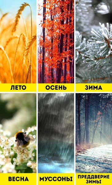 6 Времен года в Индии