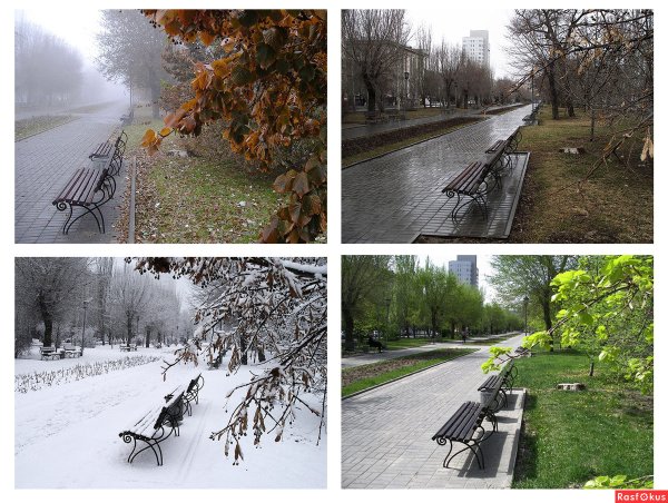 Один пейзаж в разные времена года