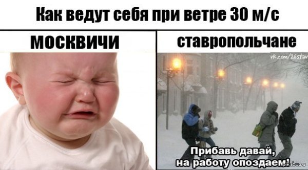 Мемы про сильный ветер
