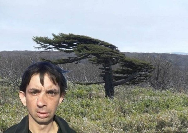Мужик с кривым носом и дерево