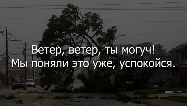 Сильный ветер прикол