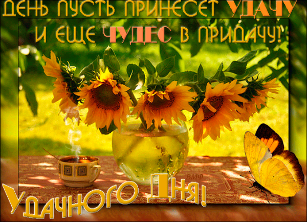 Солнечного осеннего настроения и удачного дня