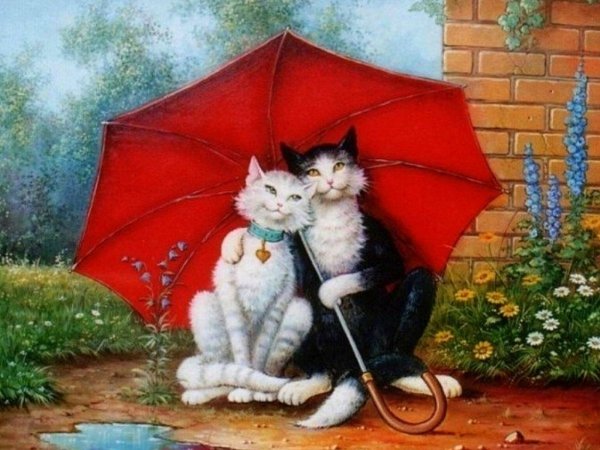 Зонт с котом
