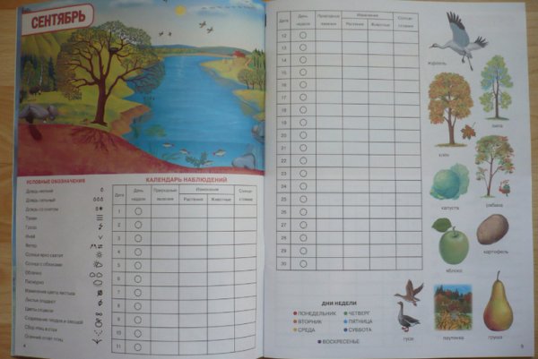 Календарь наблюдений для дошкольников