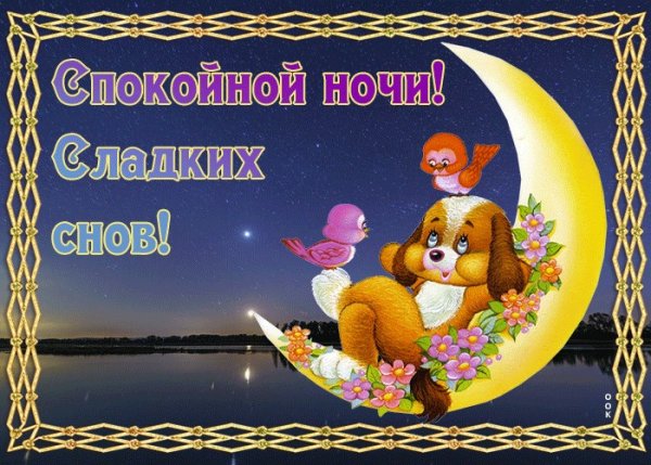 Спокойной ночи сладких снов до завтра