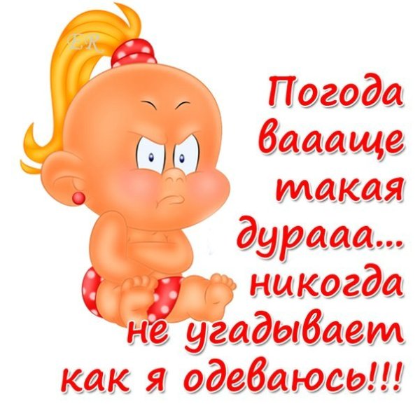 Открытки о погоде прикольные