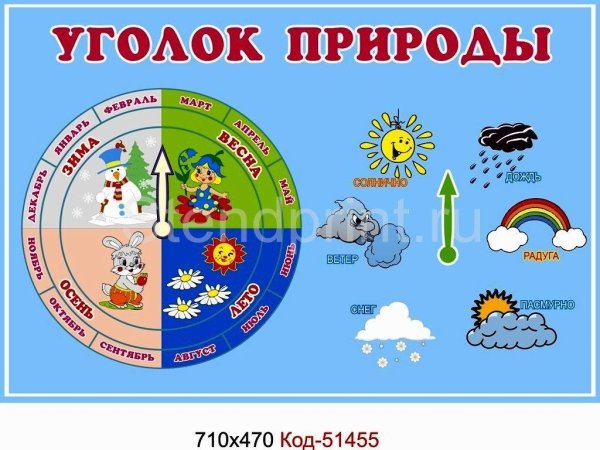 Название уголка природы в детском саду