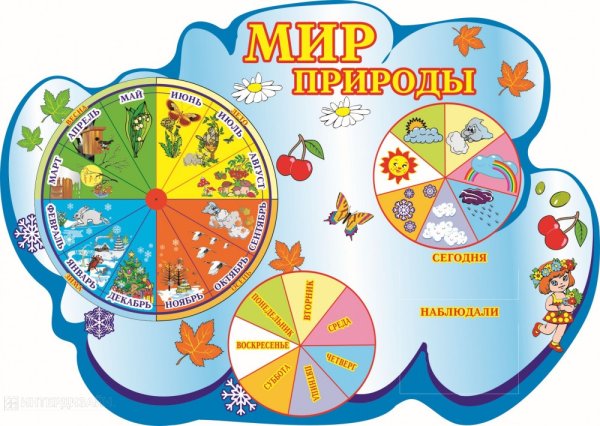 Стенд "уголок природы"