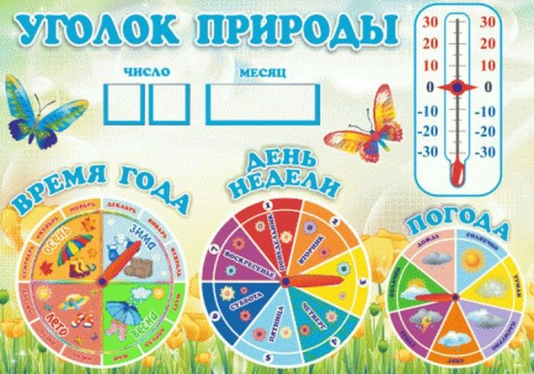 Стенд уголок природы для детского сада