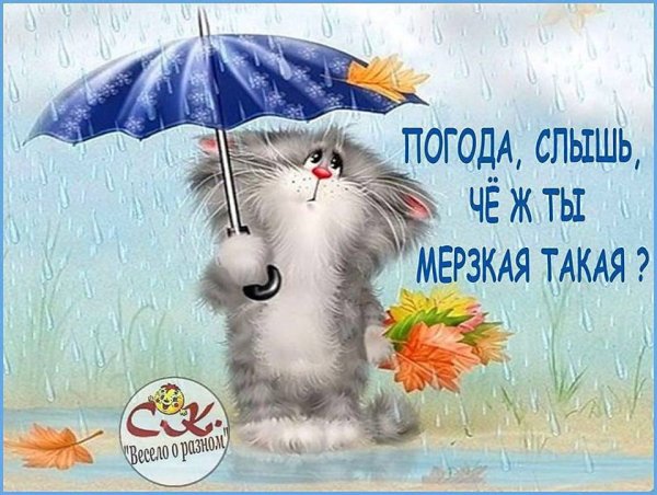 Приколы о плохой погоде в день 8 марта