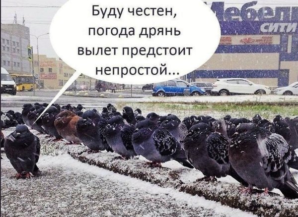 Погода дрянь прикол