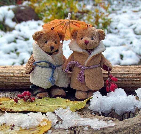 Пусть в Вашу дверь стучатся только хорошие люди