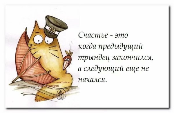 Умные мысли о жизни с юмором