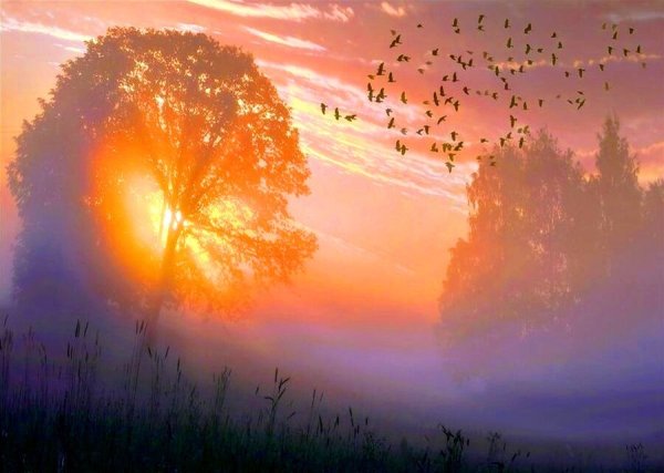 Рассвет души