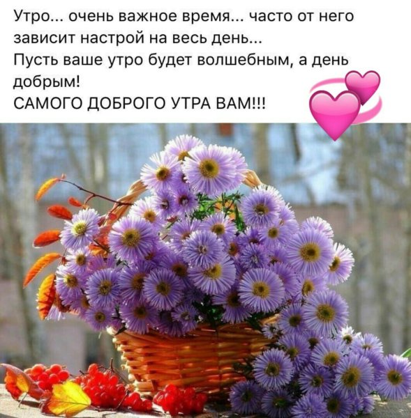 Пусть ваше утро будет добрым