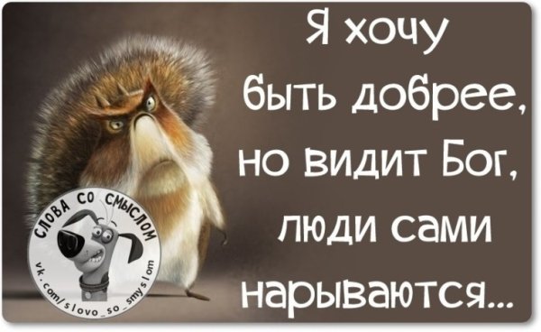 Смешные цитаты со смыслом