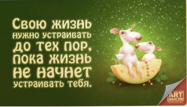 Прикольные Мудрые статусы