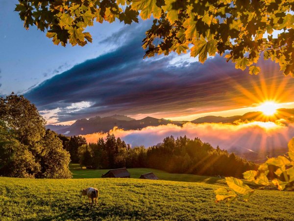 Солнечная осень