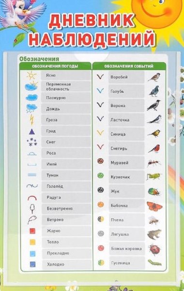 Дневник наблюдений