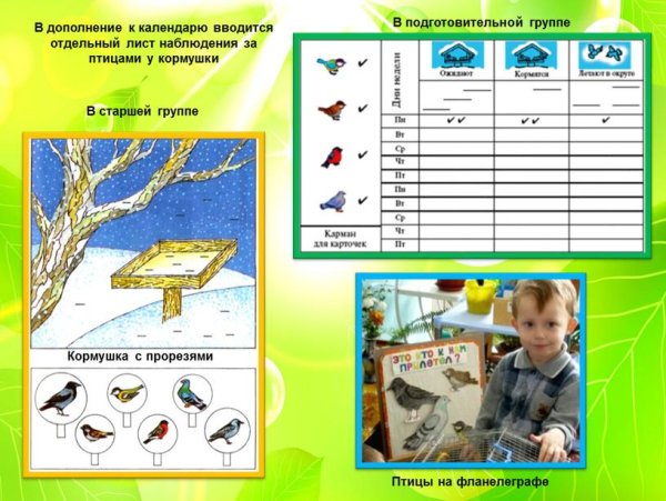 Дневник наблюдения за птицами для дошкольников