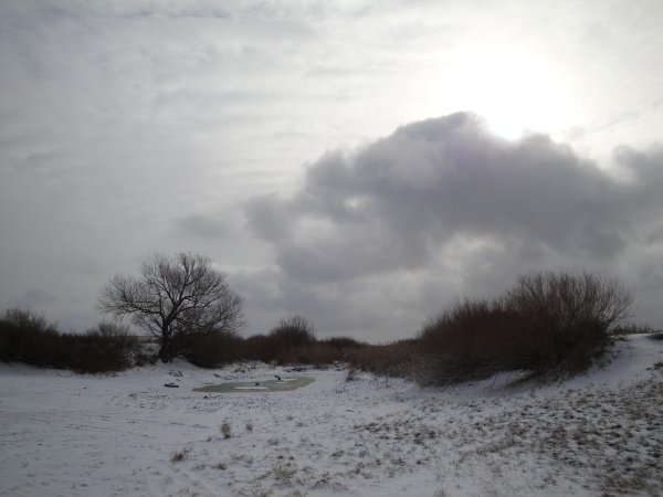 У природы есть плохая погода