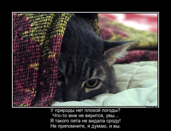 У природы нет плохой погоды смешное