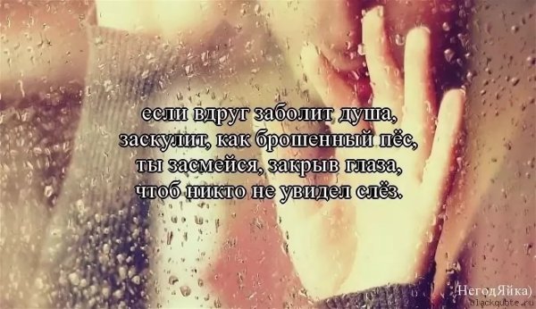 Если вдруг заскулит душа