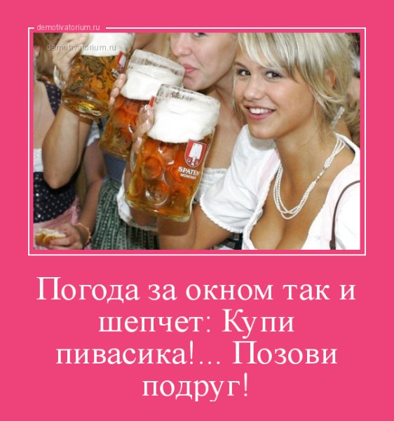 Пить пиво прикол