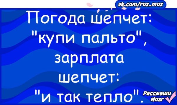 Погода шепчет купи пальто зарплата шепчет