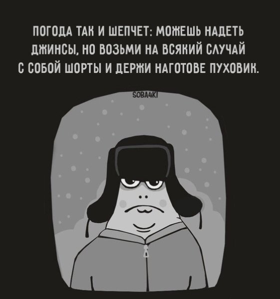 Погода так и шепчет картинки
