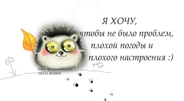 Смешные высказывания про плохое настроение